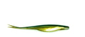 Camo Green 5-inch Fluke soft jerkbait